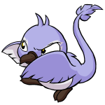 Purple Pteri