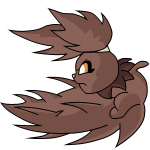 Brown Usul
