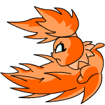Orange Usul