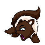 Brown Wocky