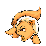 Orange Wocky