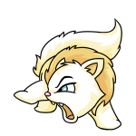 White Wocky