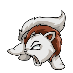 White Wocky