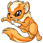 Orange Xweetok