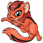 Orange Xweetok