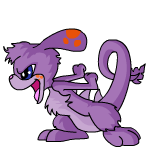 Purple Zafara
