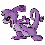Purple Zafara