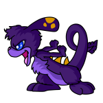 Purple Zafara