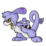 Purple Zafara