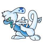 White Zafara