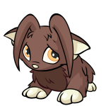 Brown Acara
