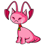 Pink Aisha