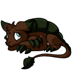 Brown Bori
