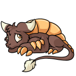 Brown Bori