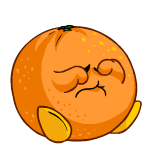 Orange Chia