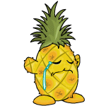 Pineapple Chia