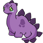 Purple Chomby