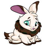 Brown Cybunny