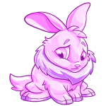 Jelly Cybunny