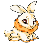 Orange Cybunny