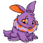 Purple Cybunny
