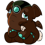 Brown Elephante