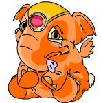 Orange Elephante