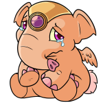 Orange Elephante
