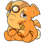 Orange Elephante