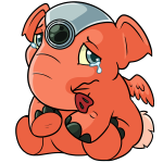 Orange Elephante