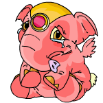 Pink Elephante