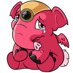 Pink Elephante