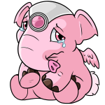 Pink Elephante
