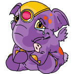 Purple Elephante