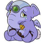 Purple Elephante