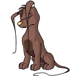 Brown Gelert