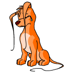 Orange Gelert