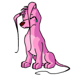 Pink Gelert
