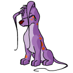 Purple Gelert