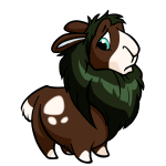 Brown Gnorbu