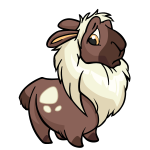 Brown Gnorbu