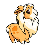 Orange Gnorbu