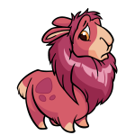 Pink Gnorbu