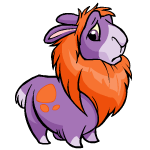 Purple Gnorbu