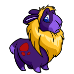 Purple Gnorbu
