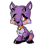 Purple Ixi