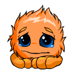 Orange Jubjub