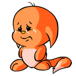 Orange Kacheek