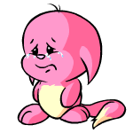 Pink Kacheek