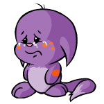Purple Kacheek